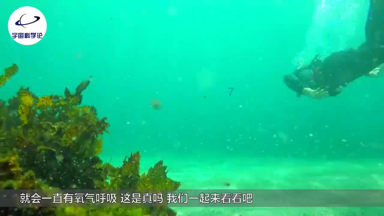 受邀出席